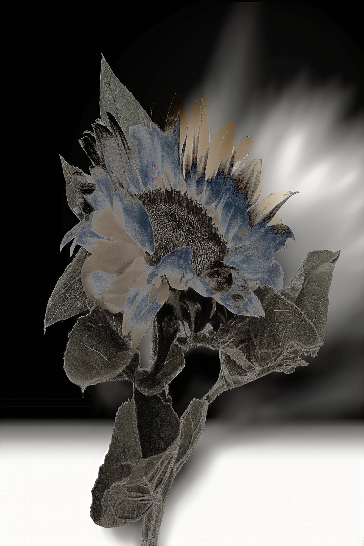 Flors-25