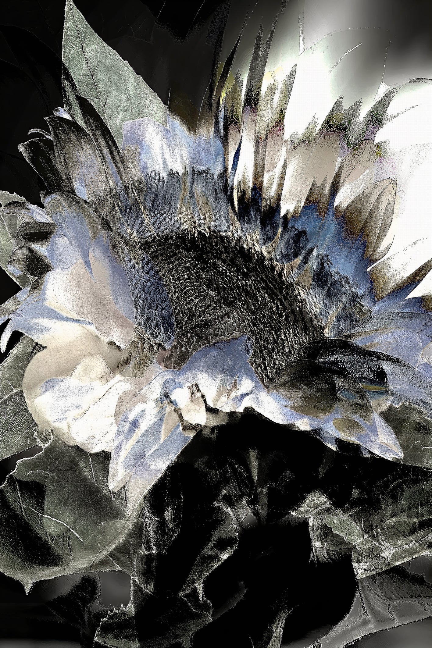 Flors-26