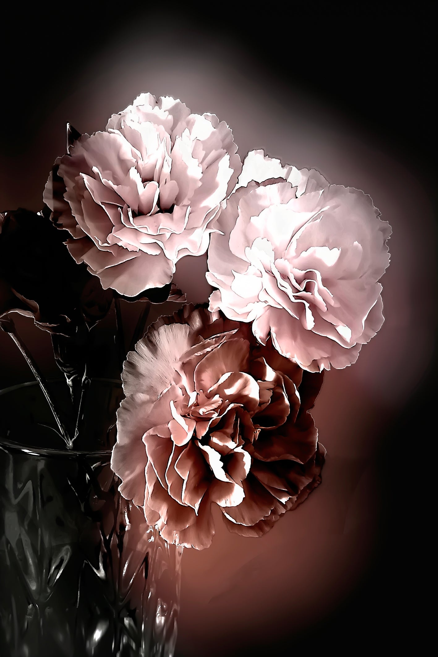 Flors-4